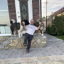 ���� ����, ������������, 62 ���� - ��������� 11 ������� 2026 � ������ ���� ����������
