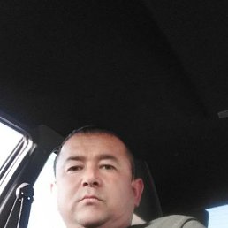 , 40, 