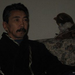 , 65, 