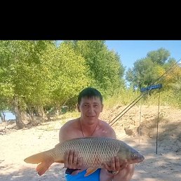 �����, 42 ����, �����