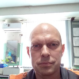 , 44, 