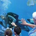  ,  , 70  -  18  2023    