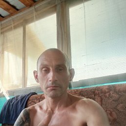 , 44, 