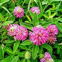 ���� �����, �������������� - ��������� 28 ������� 2024 � ������ ������