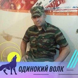 ���, 41 ���, ������