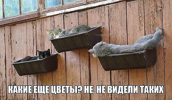 ☆Лучшие шутки☆ - 21 сентября 2025 в 12:06