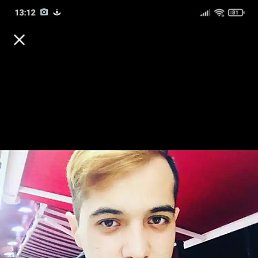 , 29, 