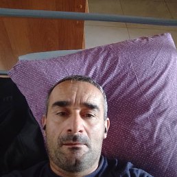 , 61, 
