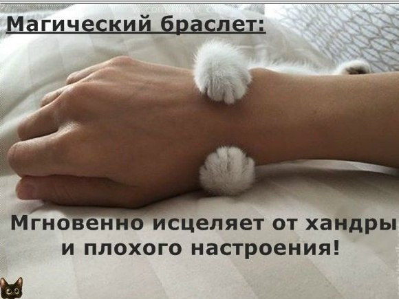 ��� ���� � ����� �� �� - 19 ��� 2026 � 19:55