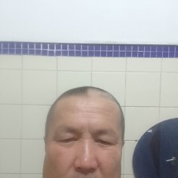 , 52, 