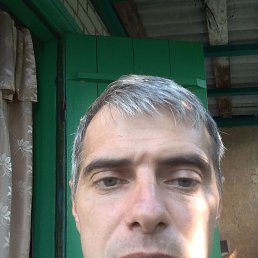 ������, 46 ���, �������