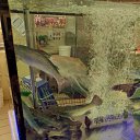 ���� Kaspersky, ������, 36 ��� - ��������� 14 ������ 2026 � ������ ������������ ������� 2025�