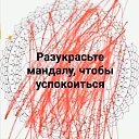 ���� �������������, �����-��������� - ��������� 9 ���� 2026 � ������ ������ ��������