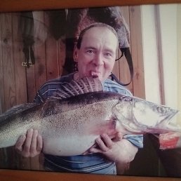 , 49, , - 