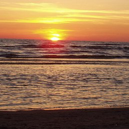 ������ ., �����, 44 ����