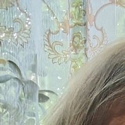 , 43 , 