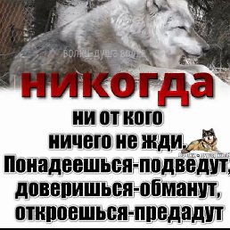 Goha, ������