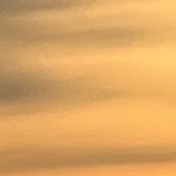 �������, ������, 48 ���