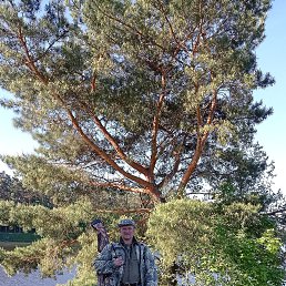 ���� ��������, ������, 56 ��� - ��������� 1 ������� 2024