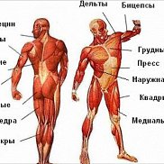 ����, 50 ���, ������