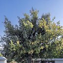  , , 57  -  10  2024   