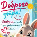 ���� ������, �������� - ��������� 8 ������� 2026 � ������ ������ ��������