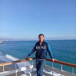 , 61 , 