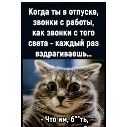 ��������, ������, 18 ���