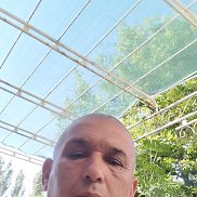 , 61 , 