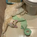 ���� �������, ������, 35 ��� - ��������� 6 ������ 2026 � ������ ������ ��������