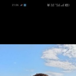 , 50 , 