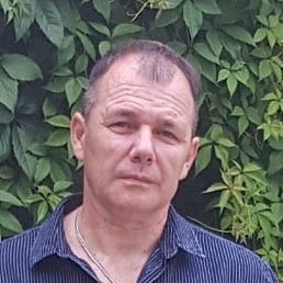 �����, �����������, 56 ���