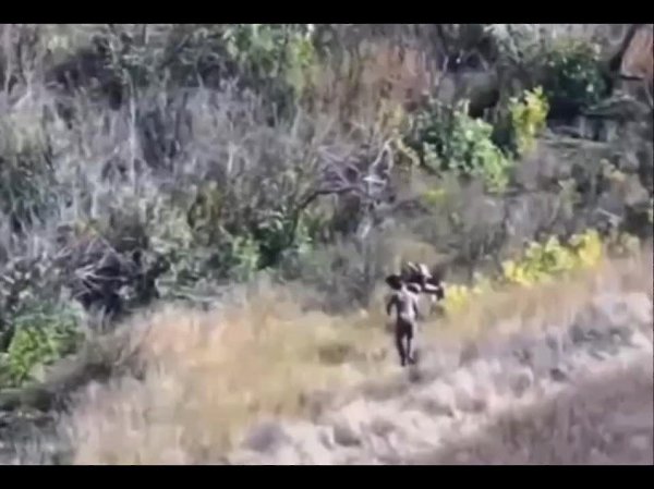 В ДНР боец нёс раненого товарища 2,5 километра под огнём и получил представление к ордену ... - 2