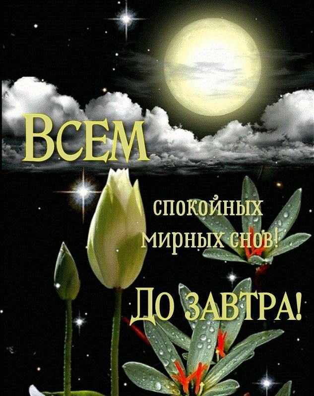   ,    . - 8  2025  21:17