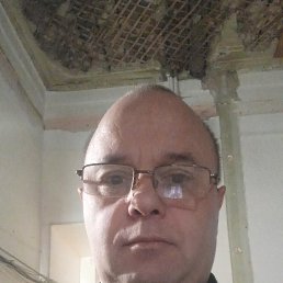 , 51,  