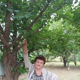 ���� �������, ���������, 70 ��� - ��������� 24 ������� 2026