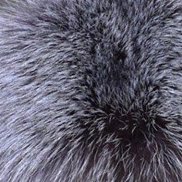 ������ ������, 48 ���, ���������