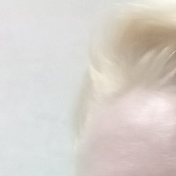 , , 42 