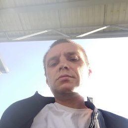 , , 41 