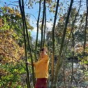 ���� ��������, ������� - ��������� 27 ������� 2024 � ������ ������ ��������