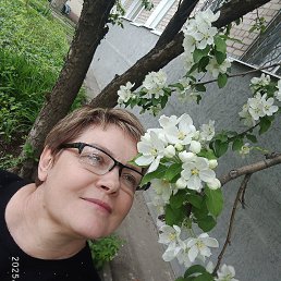 ���� �����, ������, 48 ��� - ��������� 28 ������ 2025