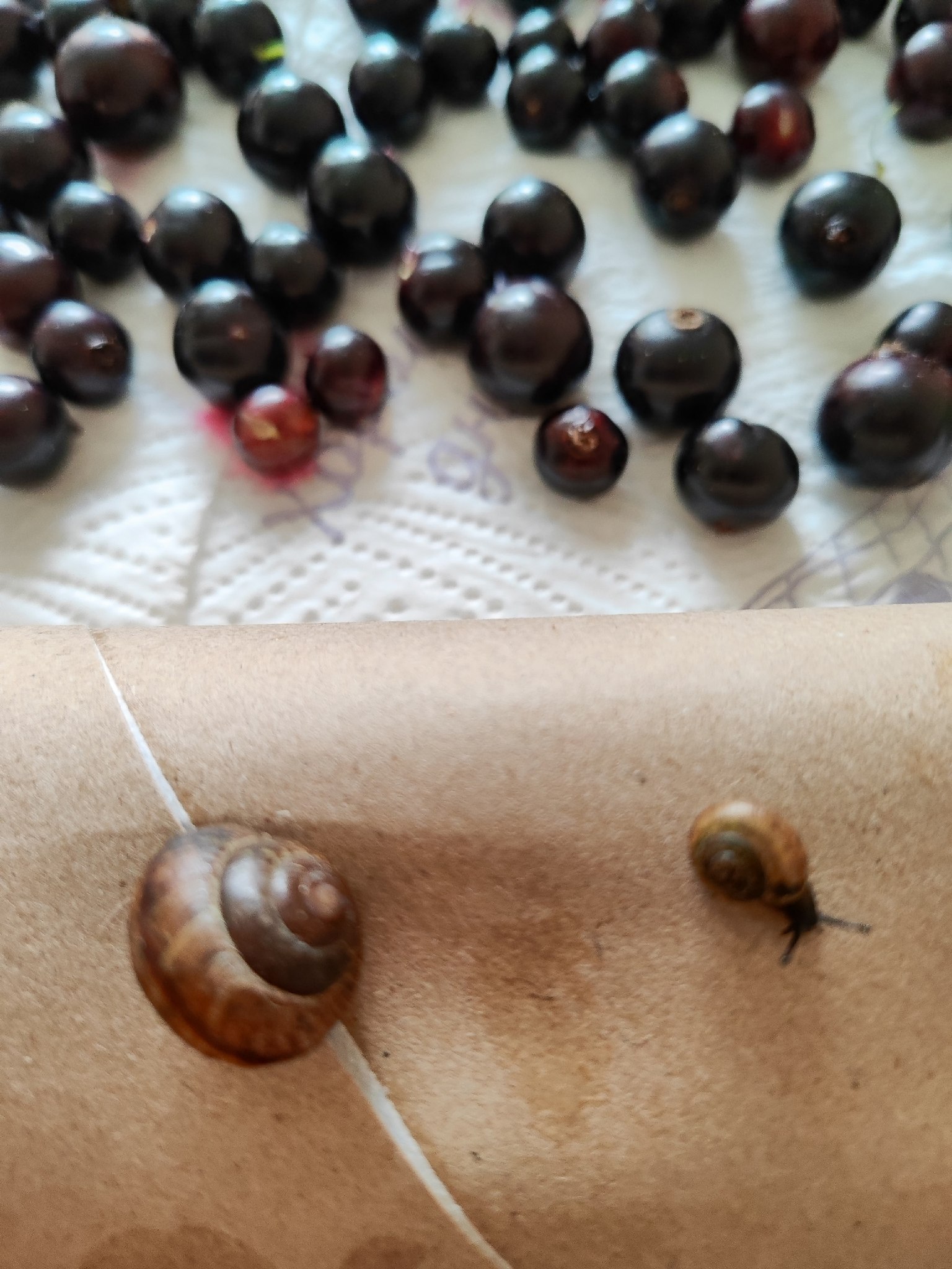������� ������� - 6 ���� 2026 � 16:28 - 3