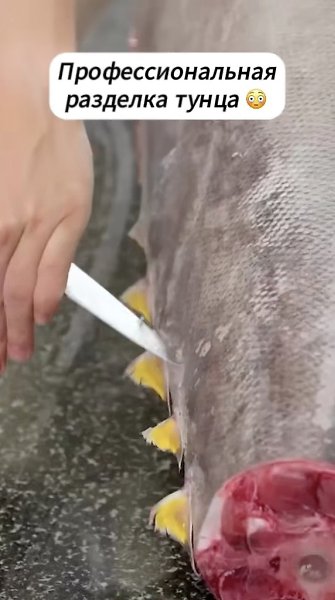 ��������� �������.�������� - 2