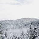  ,  -  28  2023    