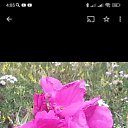 ���� �������, �����������, 44 ���� - ��������� 13 ������� 2024 � ������ ���� ����������