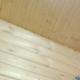 �������, ������, 50 ���