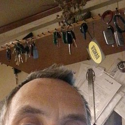 ������ ����������, 42 ����, �����