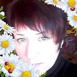 �������, ������� �����, 49 ���