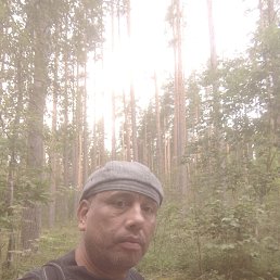 , 45 , -