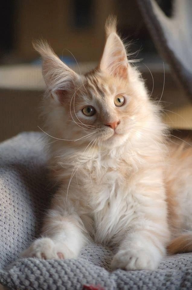 �������� - 12 ����� 2025 � 04:26